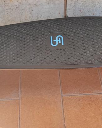 Mini Skateboard 