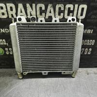 Radiatore Piaggio beverly 250/300
