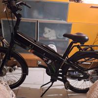 biciclettta elettrica