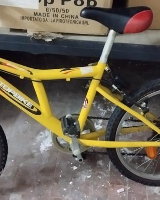 bicicletta 