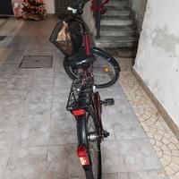 bicicletta da donna.