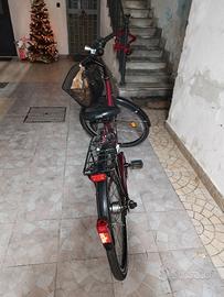 bicicletta da donna.