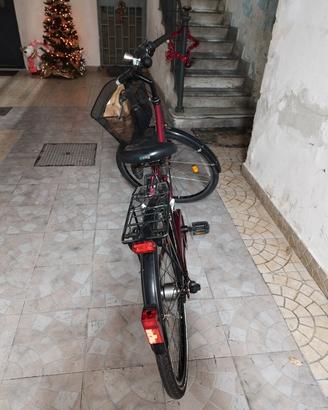 bicicletta da donna.