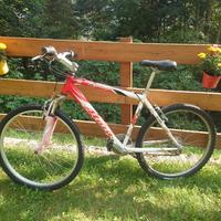 Bici  MTB 