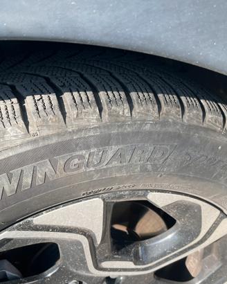 Gomme invernali nexen