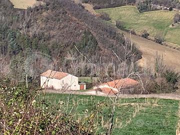 Casa Indipendente San Paolo di Jesi [9539VRG]