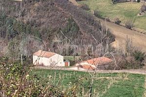 Casa Indipendente San Paolo di Jesi [9539VRG]