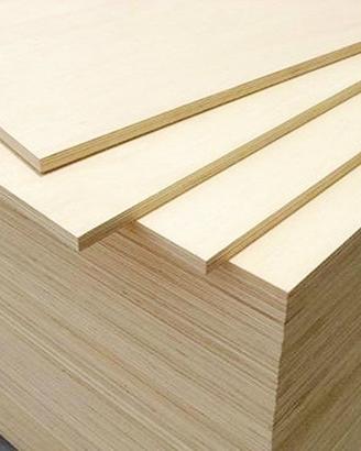 Foglio multistrato in legno di pioppo