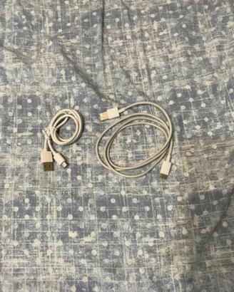 Caricabbatteria e cover x iphone