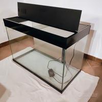 Acquario Ciano 150 litri