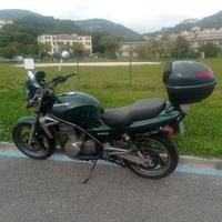 Kawasaki ER 5