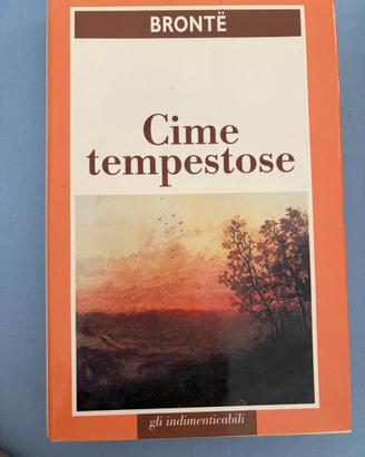 Lotto 4 classici della letteratura