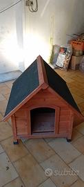 Casetta per cane