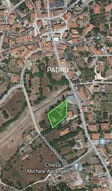 Terreno agricolo centrale Padru