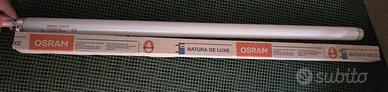 2 neon Osram