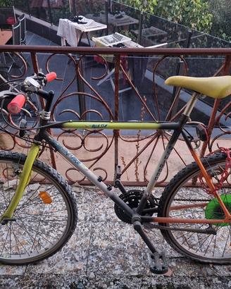 bicicletta ellesse