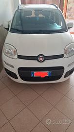 panda