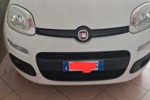 panda