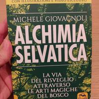 Libro Alchimia Selvatica Giovagnoli