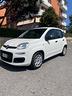 fiat-panda-1-2-easy-neopatentati