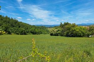 Terreno agricolo + annesso