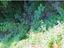 Immagine 8