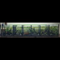 Acquari e bettiere su misura da allevamento.