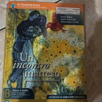 Un Incontro Inatteso