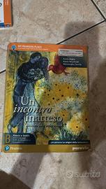 Un Incontro Inatteso