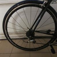 Bici da corsa