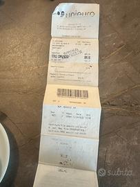 Bicicletta elettrica