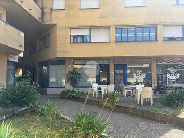 ATTIVITÀ A COLLI AL METAURO