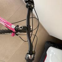 Bicicletta bambina cerchio 24 pollici