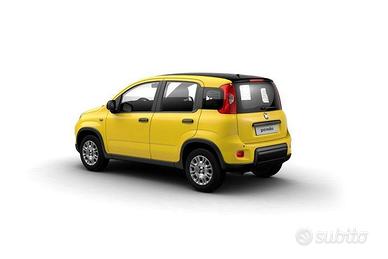 FIAT Panda N. 1.0 70cv Hybrid