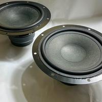 Midwoofer da incasso (coppia)