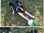 Immagine 3