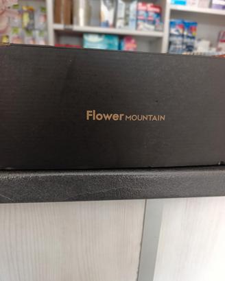 flower Mountain 