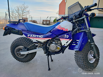 Koala fantic 50