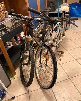 2 biciclette in buono stato