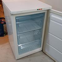 Freezer Rex Electrolux