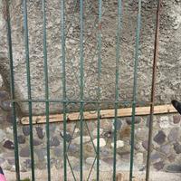 Grata per finestra