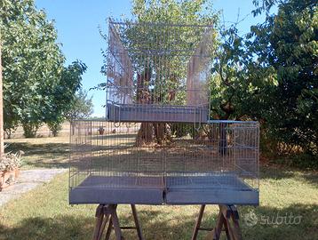 GABBIE GRANDI PER UCCELLI