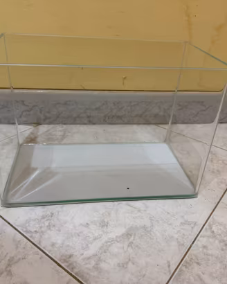 Vasca per pesci tropicali