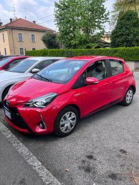 Toyota Yaris 1.5 Hybrid 5 porte Active