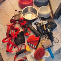 set articoli per cane