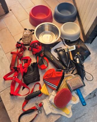 set articoli per cane
