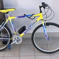 Bici  da passeggio