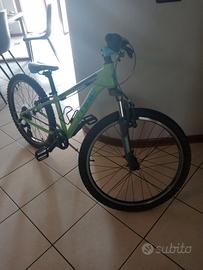 Bici MTB 24