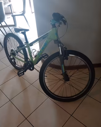 Bici MTB 24