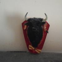Testa Toro nero da parete decorazione casa negozio